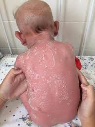 photo18311743215.jpg - 7.64 kB