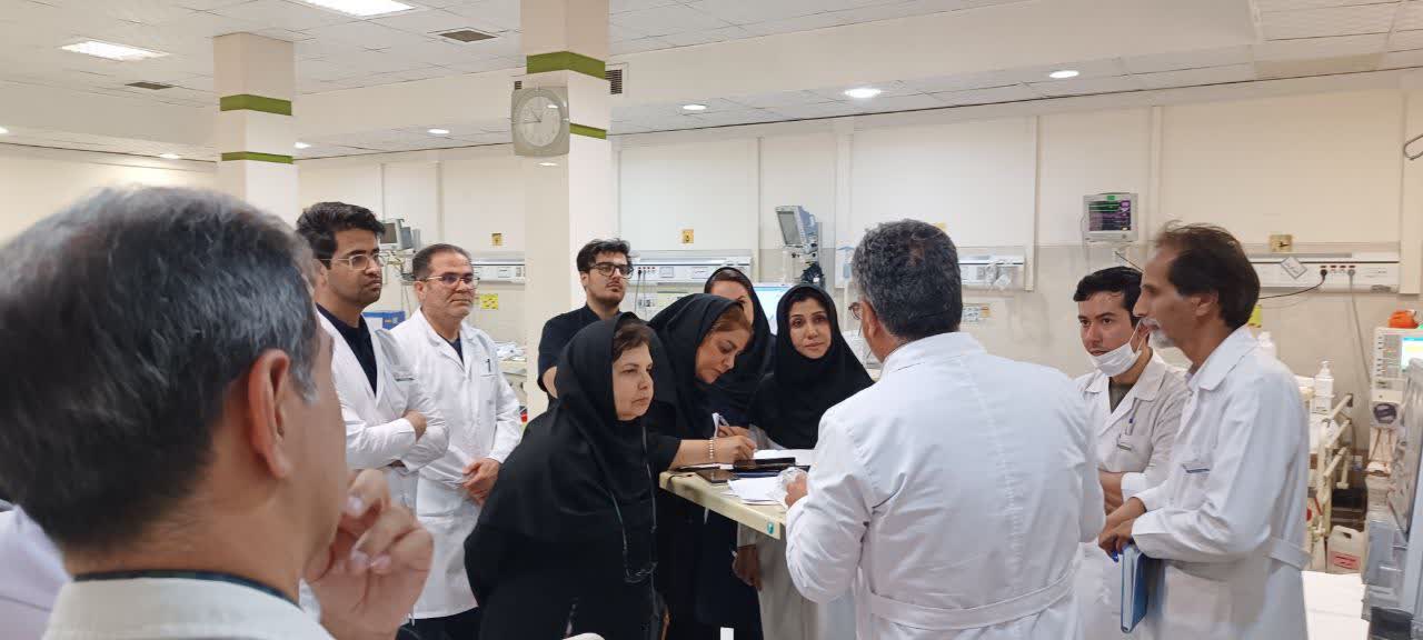 photo18841531798.jpg - 54.61 kB